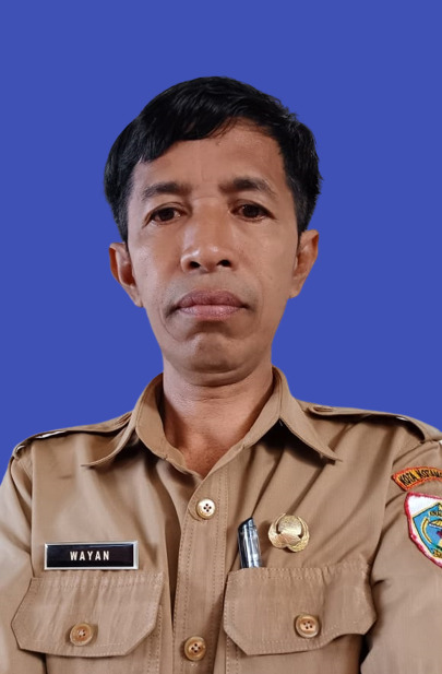 I WAYAN WEDAYASA