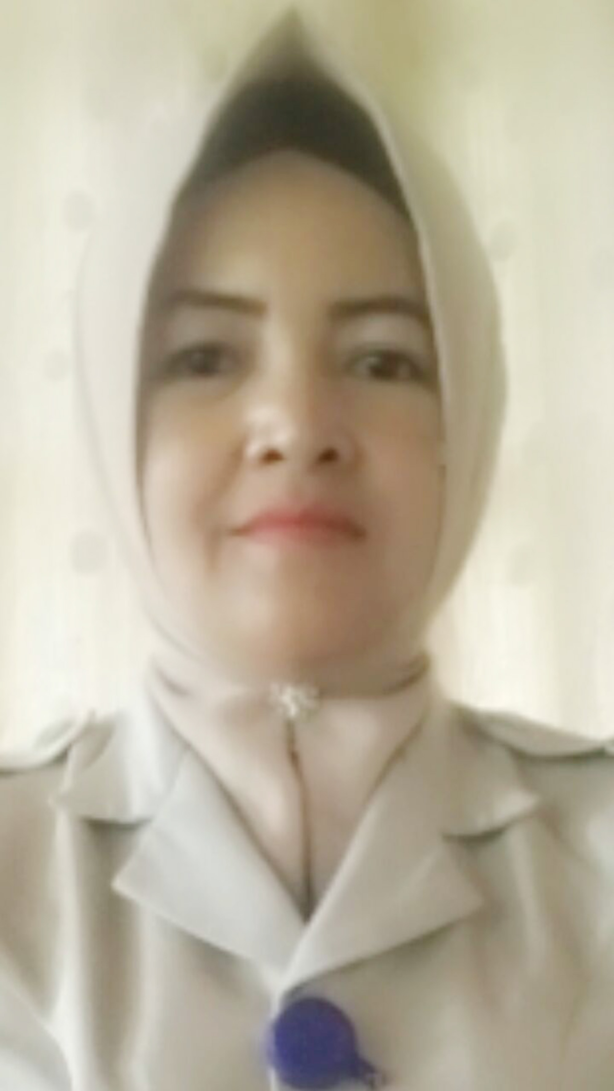 IRMIATI SANI