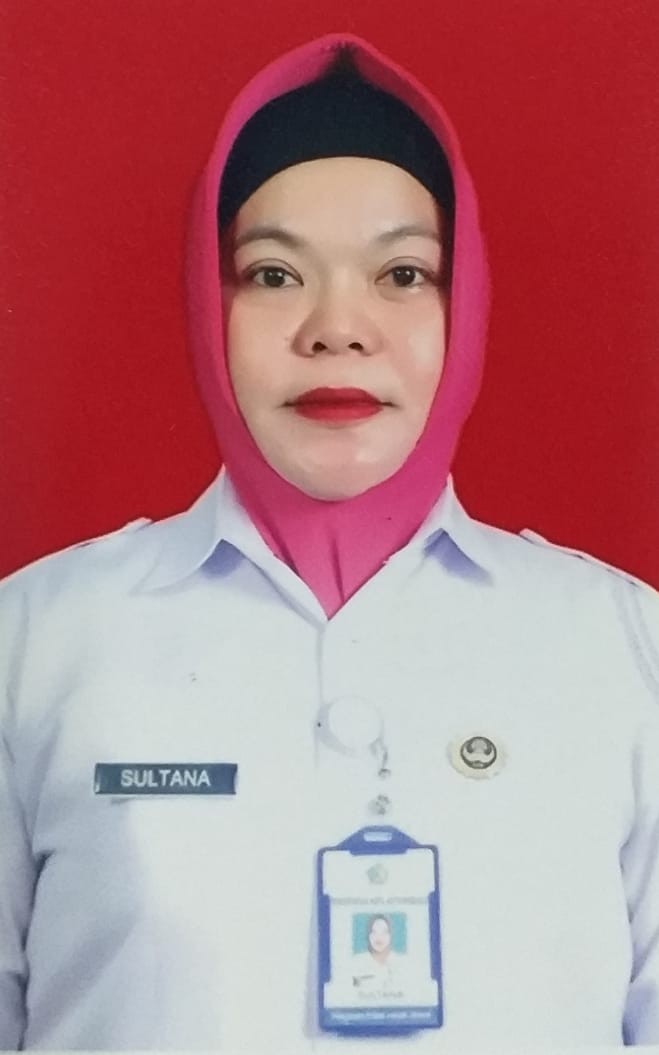 SULTANA HAMIM