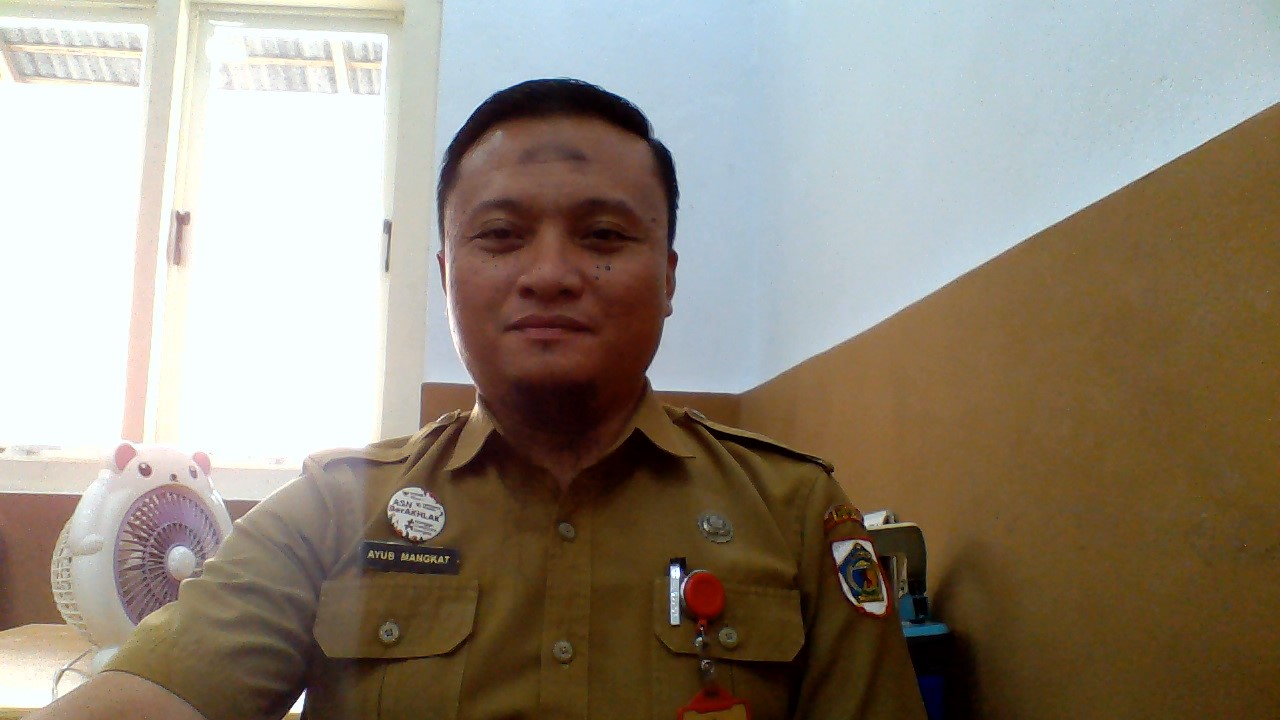 SYARI AYUB DJ MANGKAT