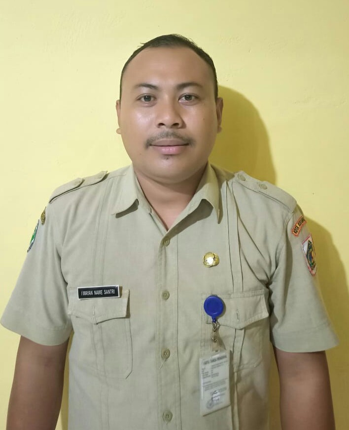 I WAYAN NAWE SANTRI