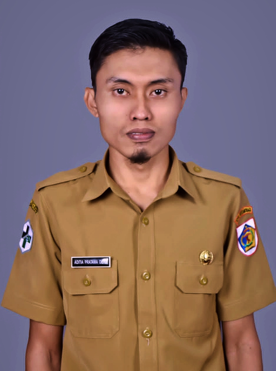 ADITIA PRATAMA DETU