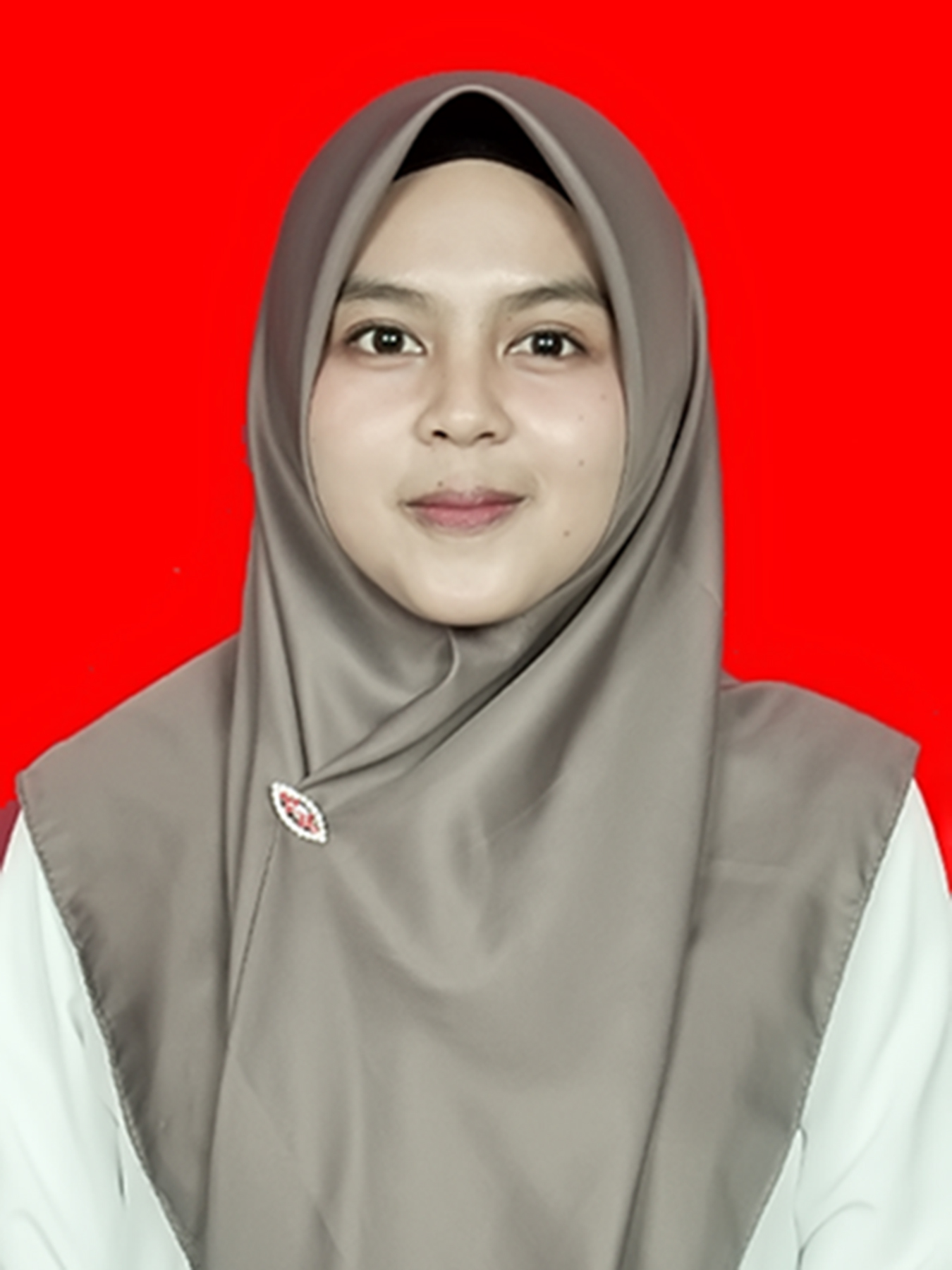 MEGA SARI TIARA SAID